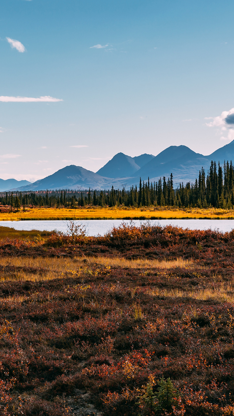 Обои природный ландшафт, природа, окружающая среда, дикая местность, гора в разрешении 750x1334