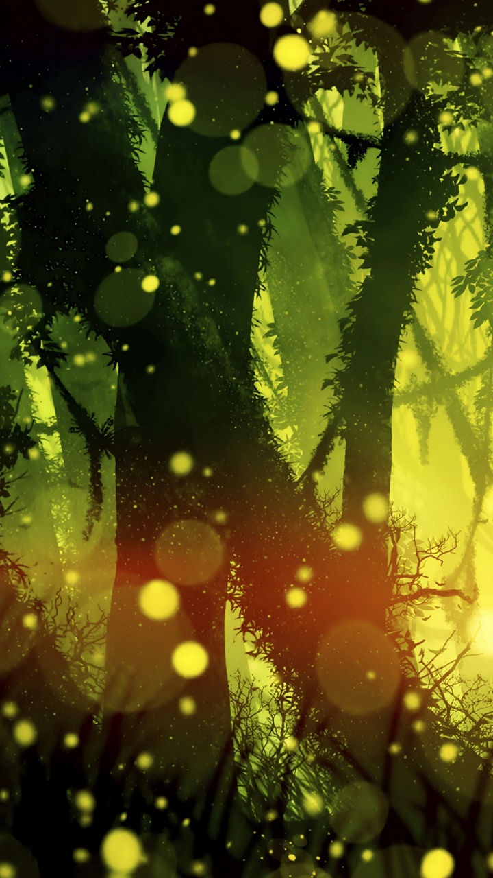 Обои зеленый, природа, вода, растительность, свет в разрешении 720x1280