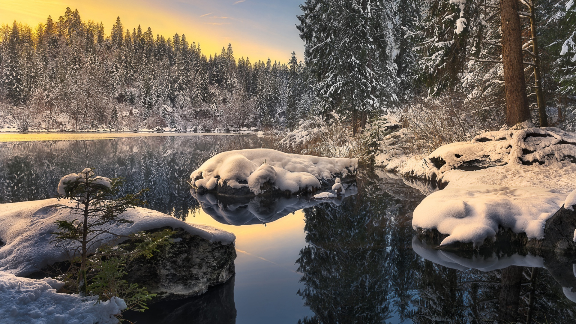 Обои природа, зима, снег, дикая местность, дерево в разрешении 1920x1080