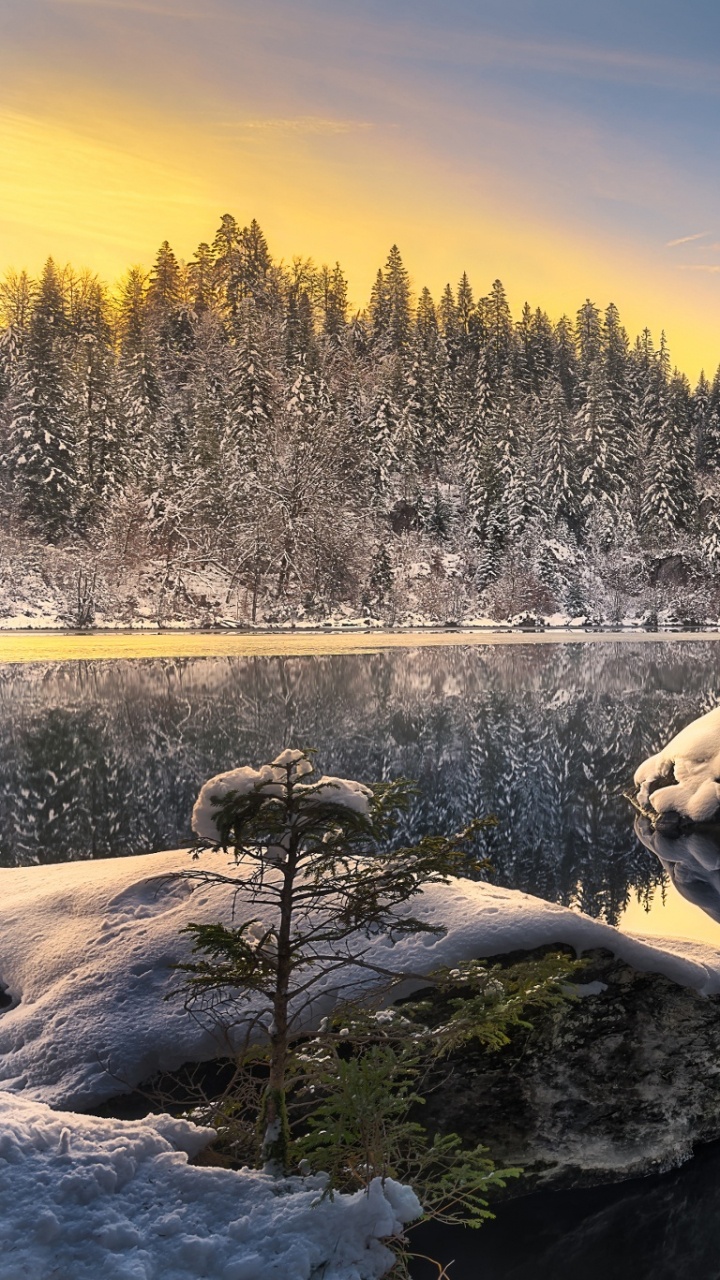 Обои природа, зима, снег, дикая местность, дерево в разрешении 720x1280