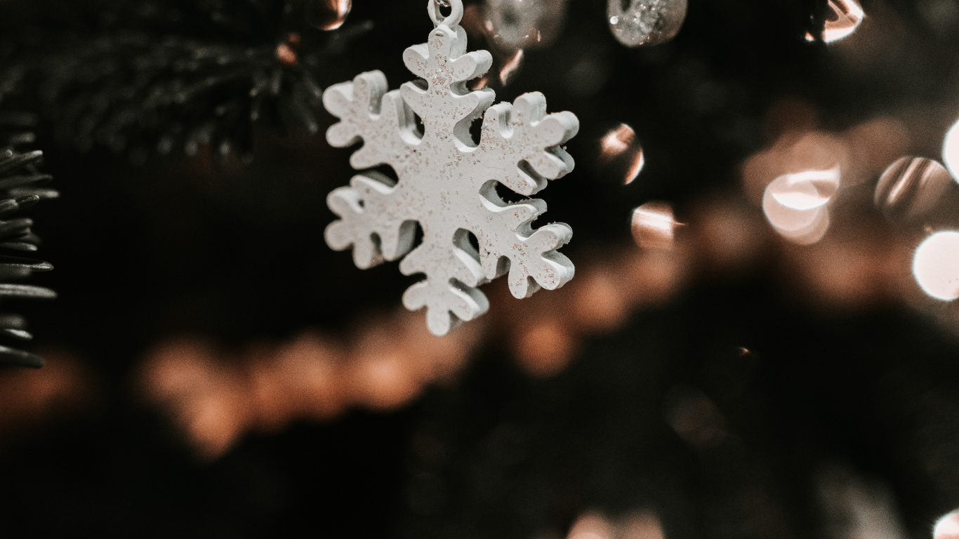 Обои снег, лист, Рождество, небо, завод в разрешении 1366x768