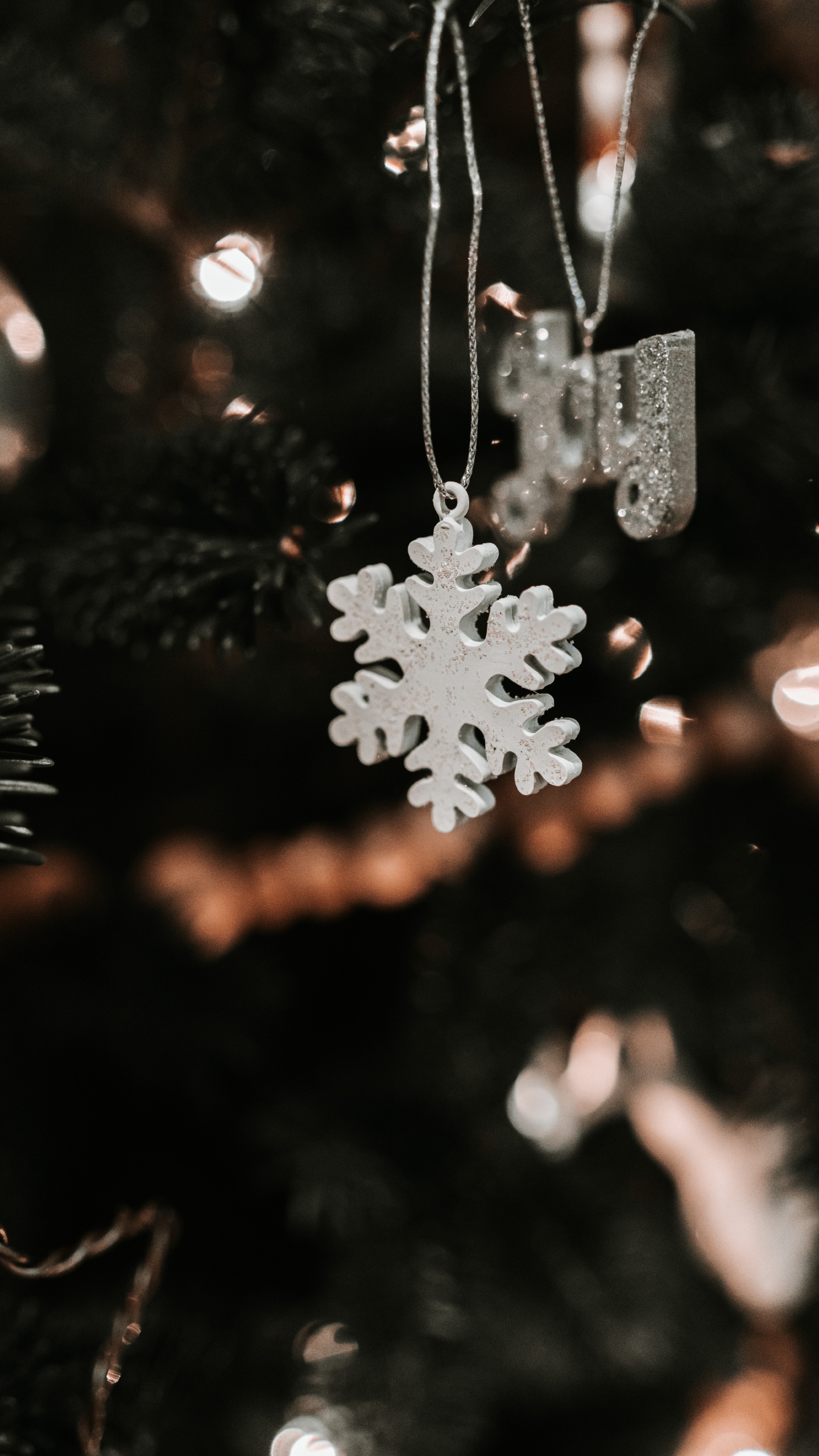 Обои снег, лист, Рождество, небо, завод в разрешении 1440x2560