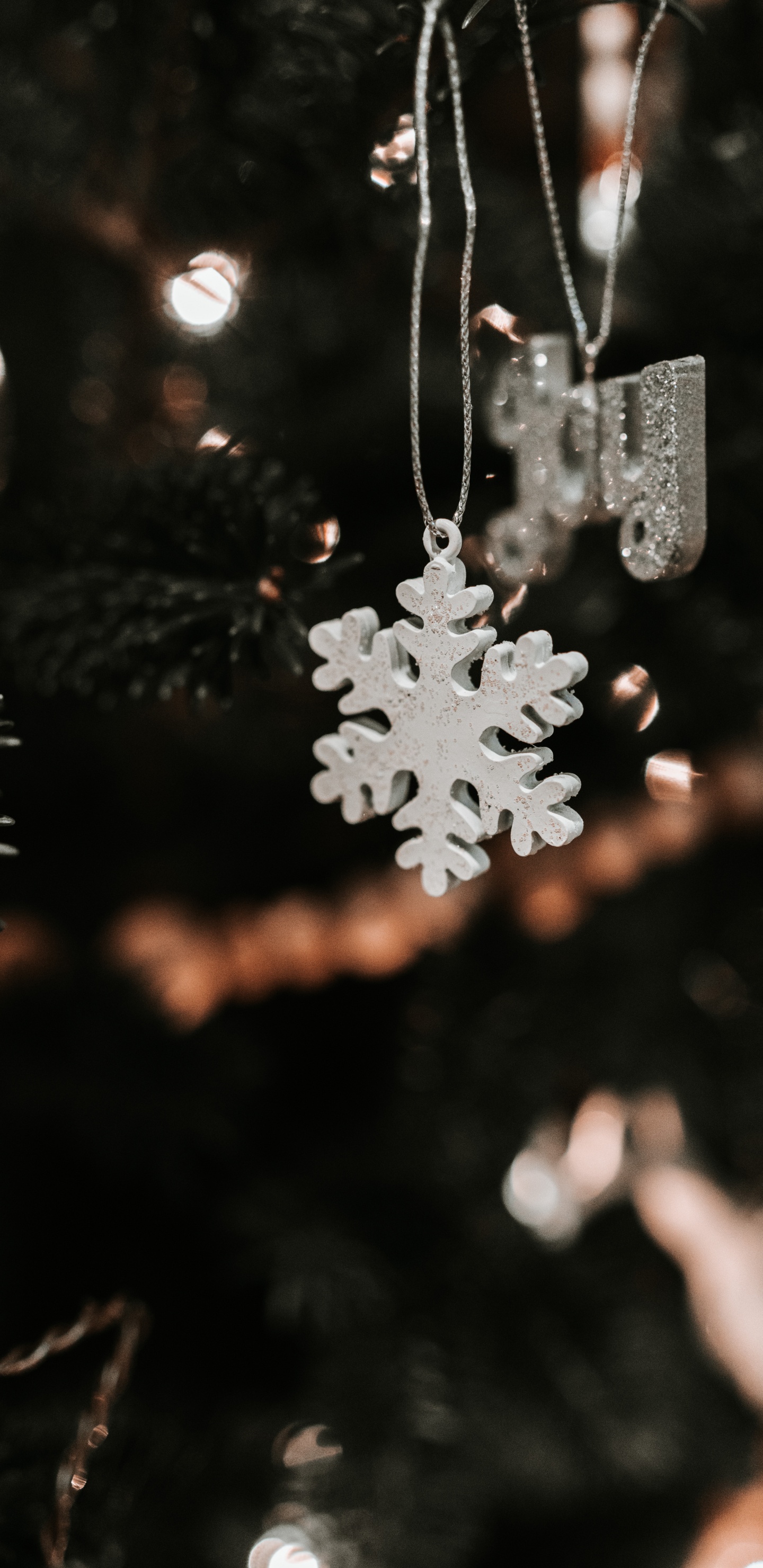 Обои снег, лист, Рождество, небо, завод в разрешении 1440x2960