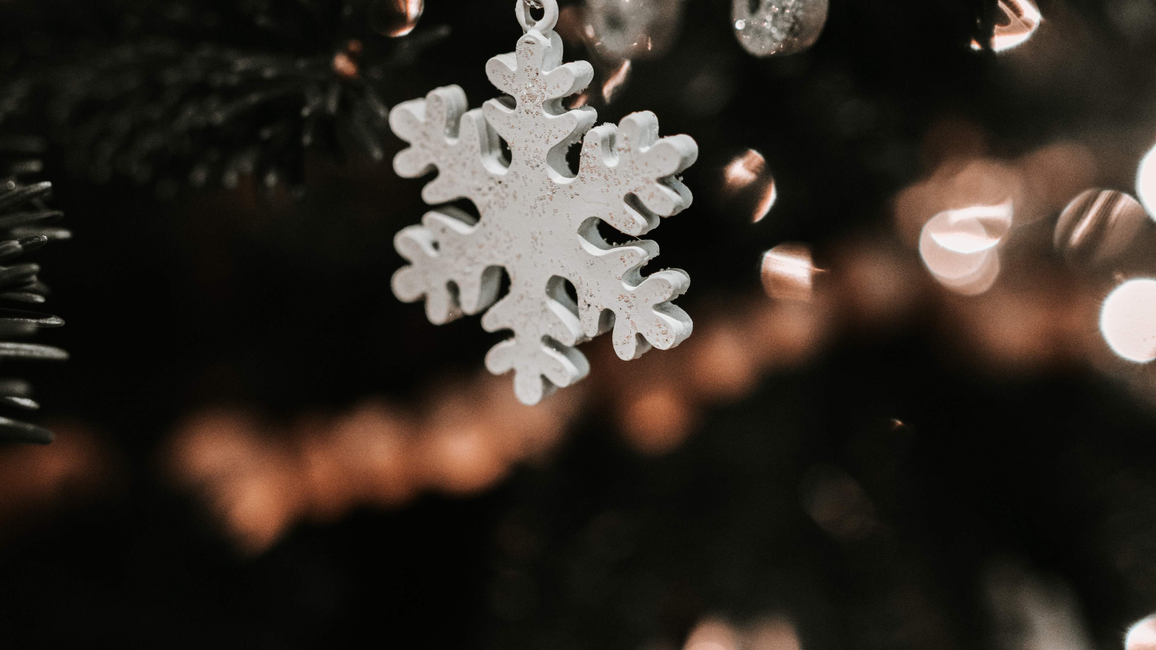 Обои снег, лист, Рождество, небо, завод в разрешении 3840x2160