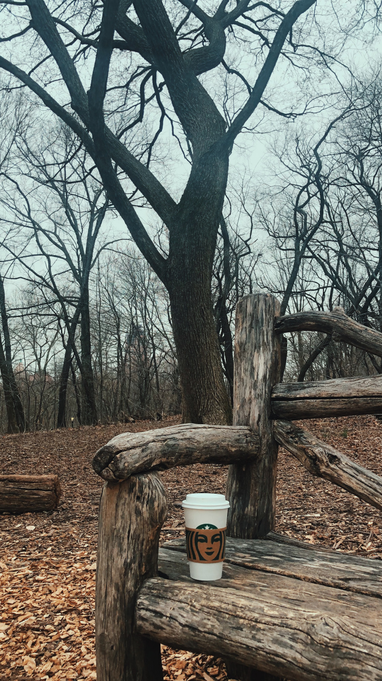 Обои дерево, древесина, наука, биология, ветвь в разрешении 750x1334