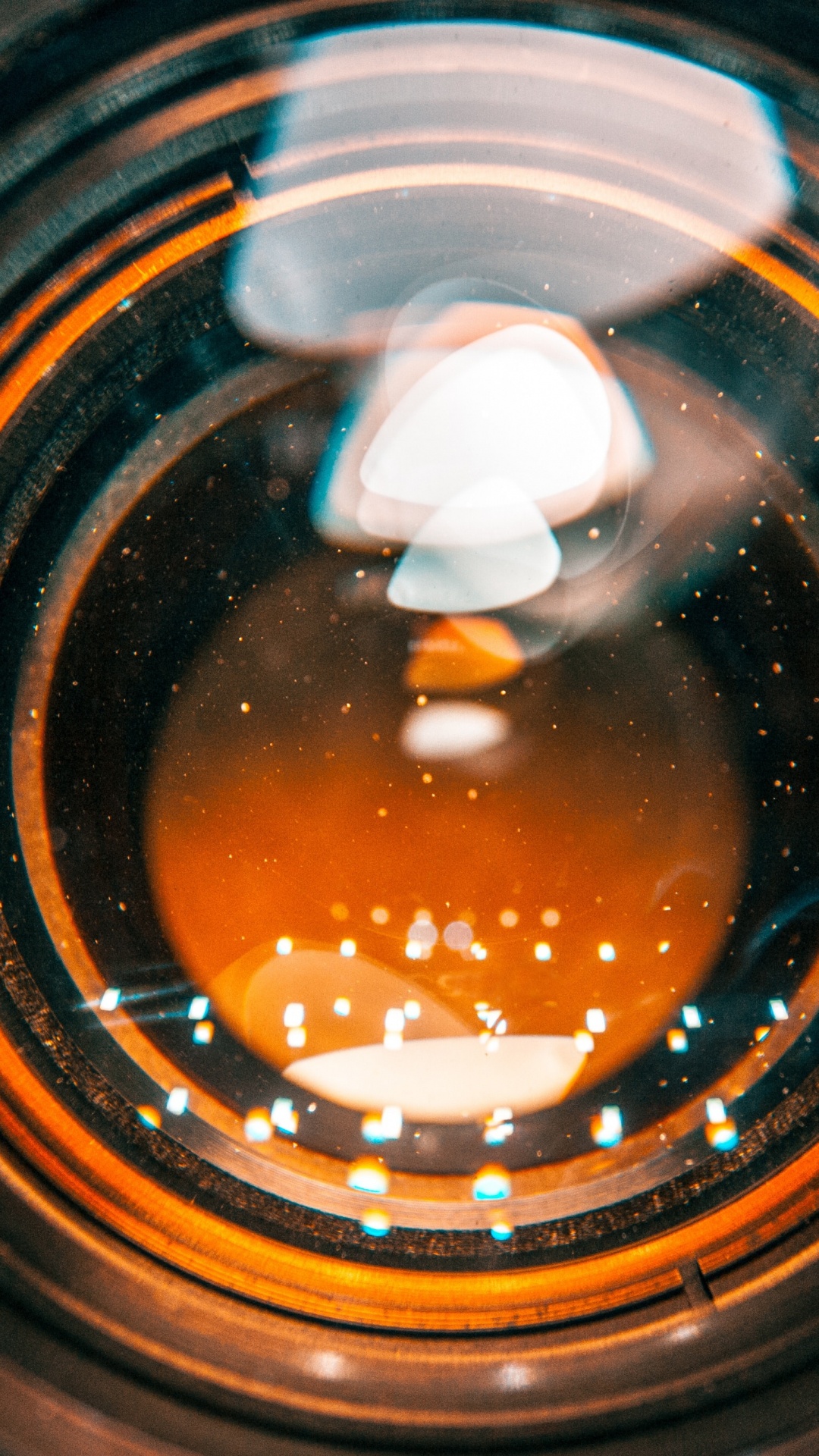 Обои насекомое, Апельсин, круг, боке, колесо в разрешении 1080x1920