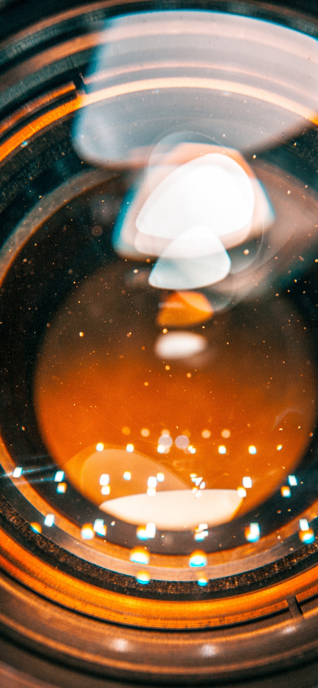 Обои насекомое, Апельсин, круг, боке, колесо в разрешении 1242x2688