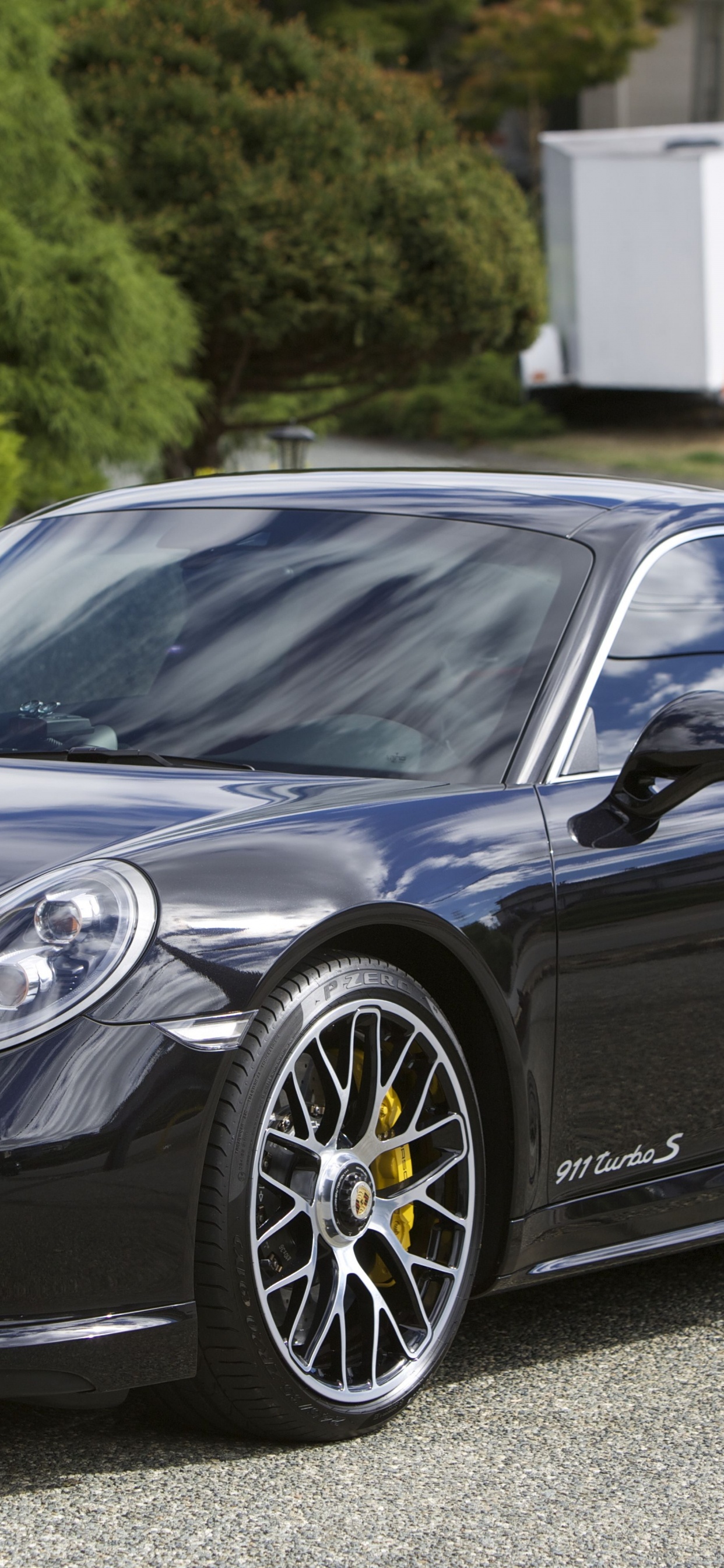 Обои Порше каррера ГТ, porsche 911 gt2, porsche 911 gt3, porsche 930, Порше в разрешении 1242x2688