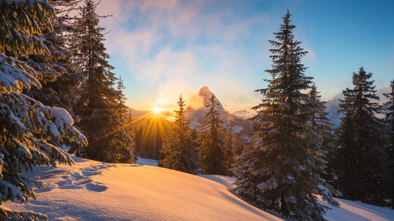 Обои снег, зима, Альпы, природа, дерево в разрешении 1280x720