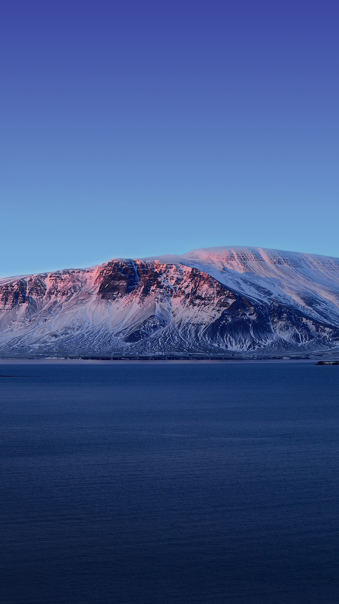 Обои Vivo, Vivo NEX Dual Display, Виво Некс, яблоко, андроид в разрешении 1080x1920