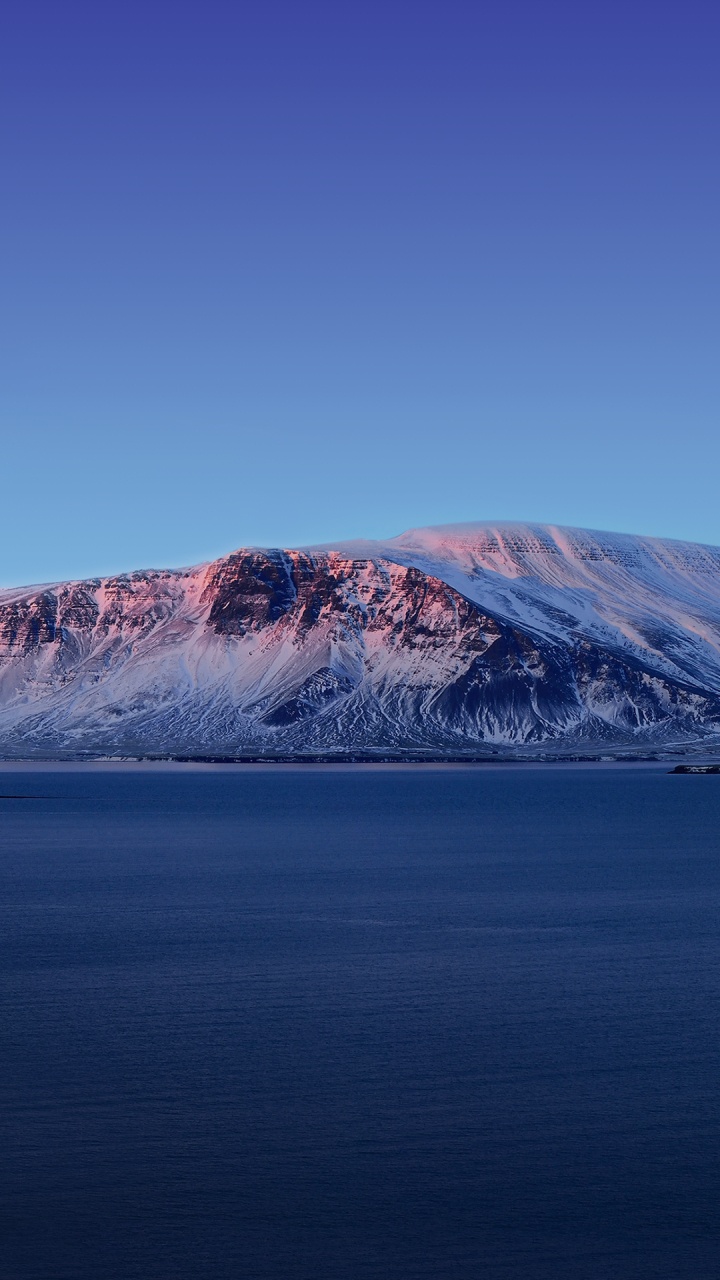 Обои Vivo, Vivo NEX Dual Display, Виво Некс, яблоко, андроид в разрешении 720x1280