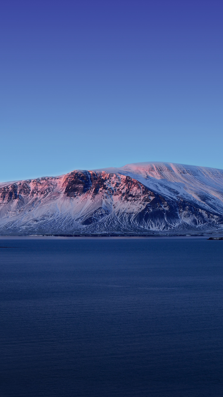 Обои Vivo, Vivo NEX Dual Display, Виво Некс, яблоко, андроид в разрешении 750x1334