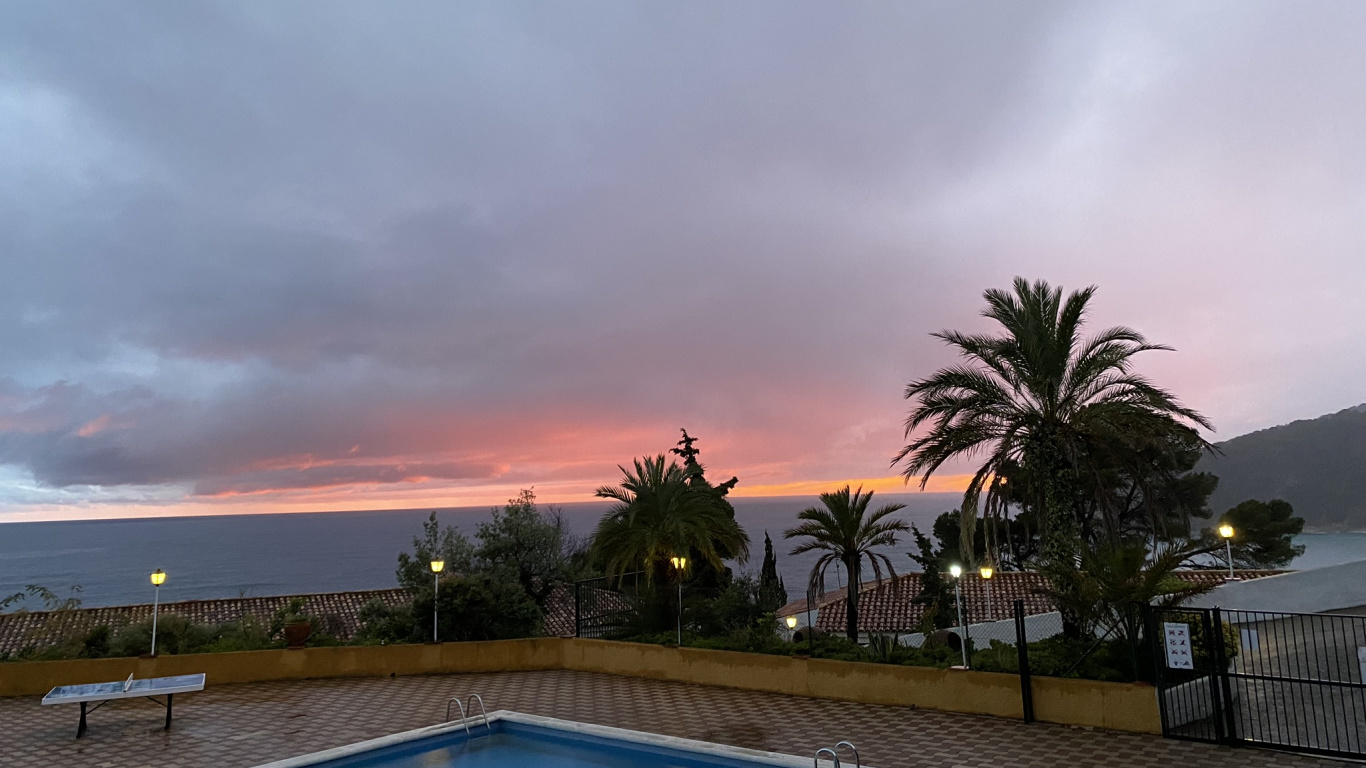 Обои вода, пальмовые рощи, недвижимость, плавательный бассейн, облако в разрешении 1366x768