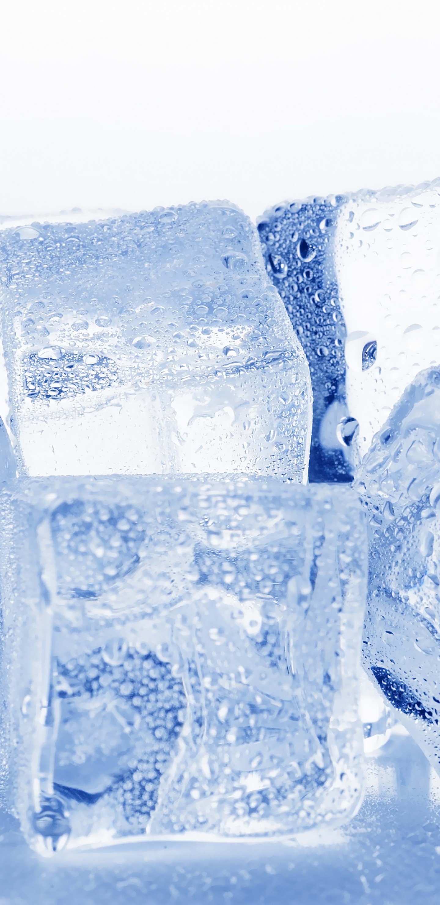 Обои кубик льда, лед, замораживание, прозрачный материал, кристалл в разрешении 1440x2960
