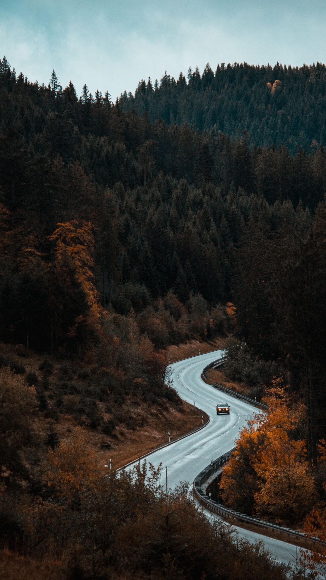 Обои природа, дикая местность, дерево, лес, гора в разрешении 1080x1920