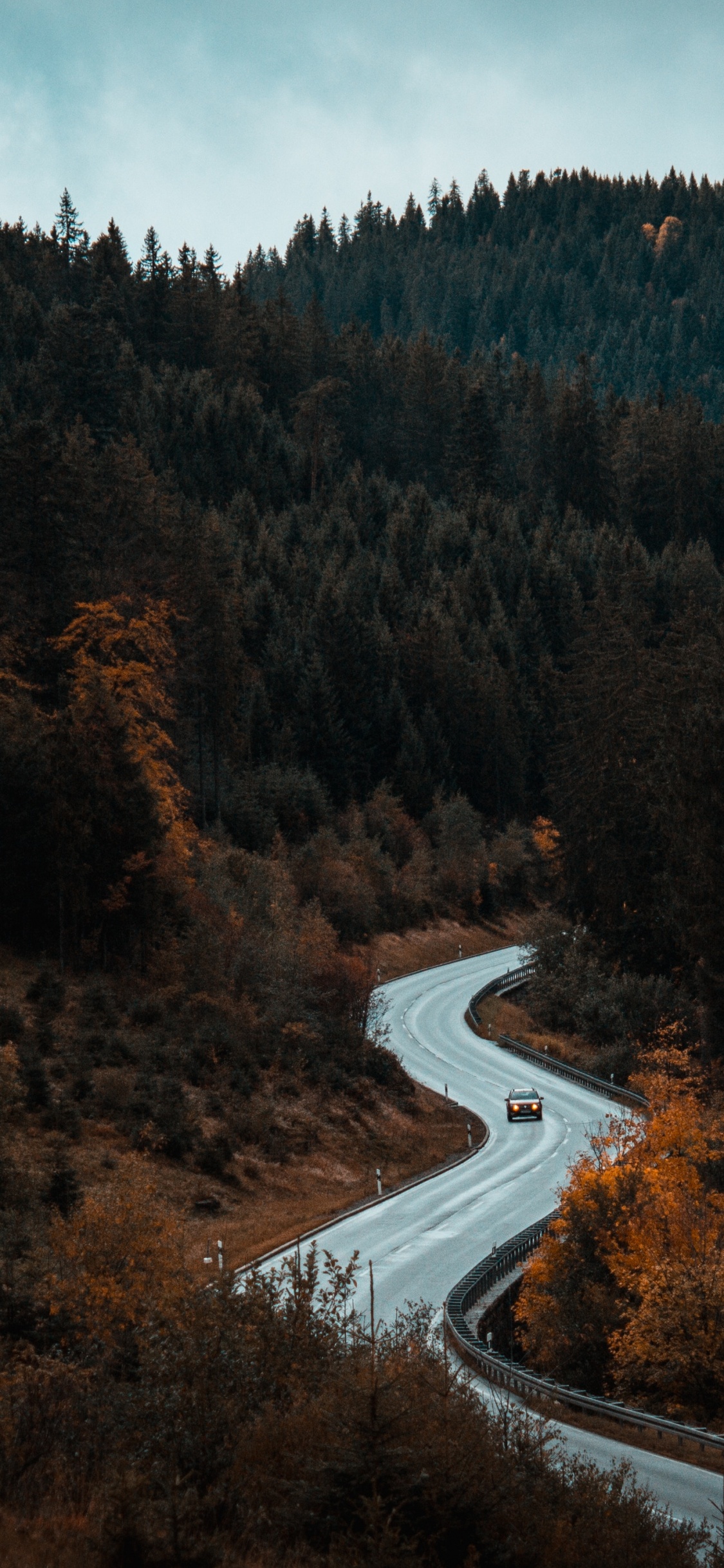 Обои природа, дикая местность, дерево, лес, гора в разрешении 1125x2436