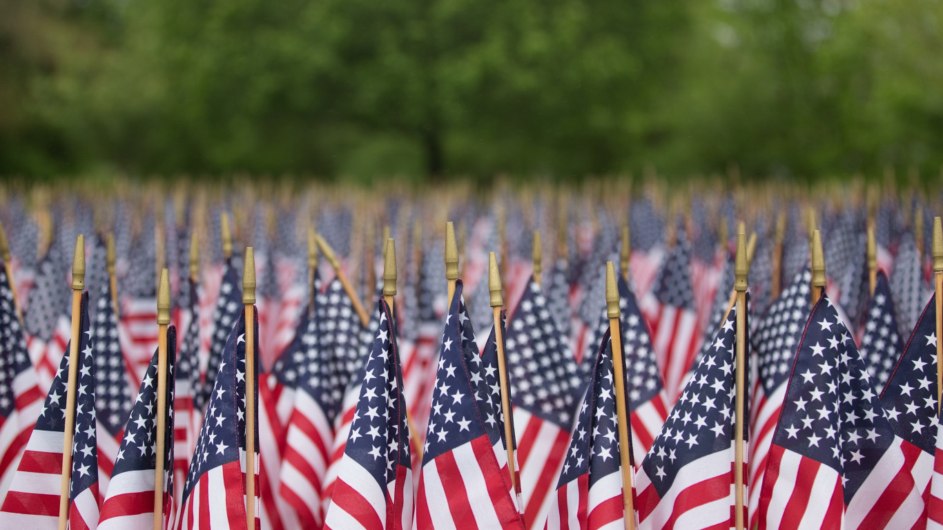 Обои праздник, флаг Соединенных Штатов, флаг, растение, завод в разрешении 1366x768