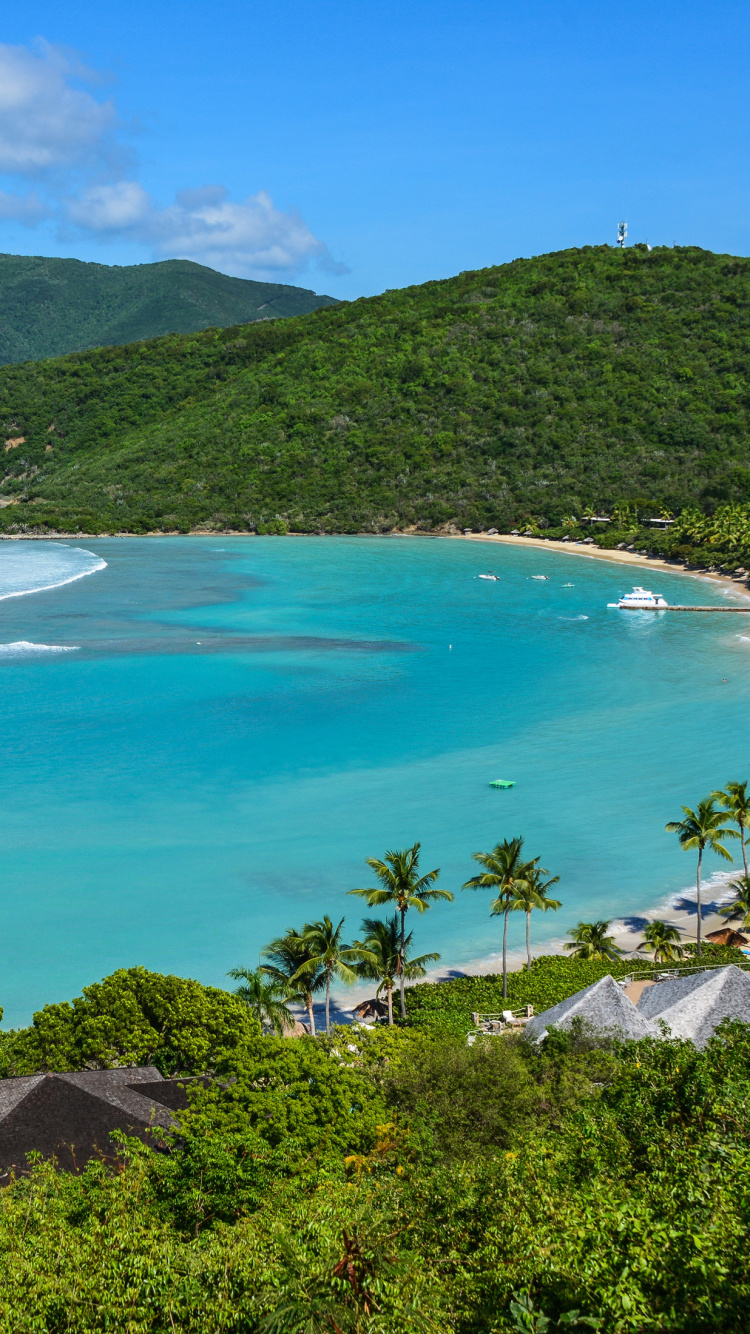 Обои Палисандр Небольшой Залив Дикс, Маленький Залив Дикс, прибежище, Остров, пляж в разрешении 750x1334