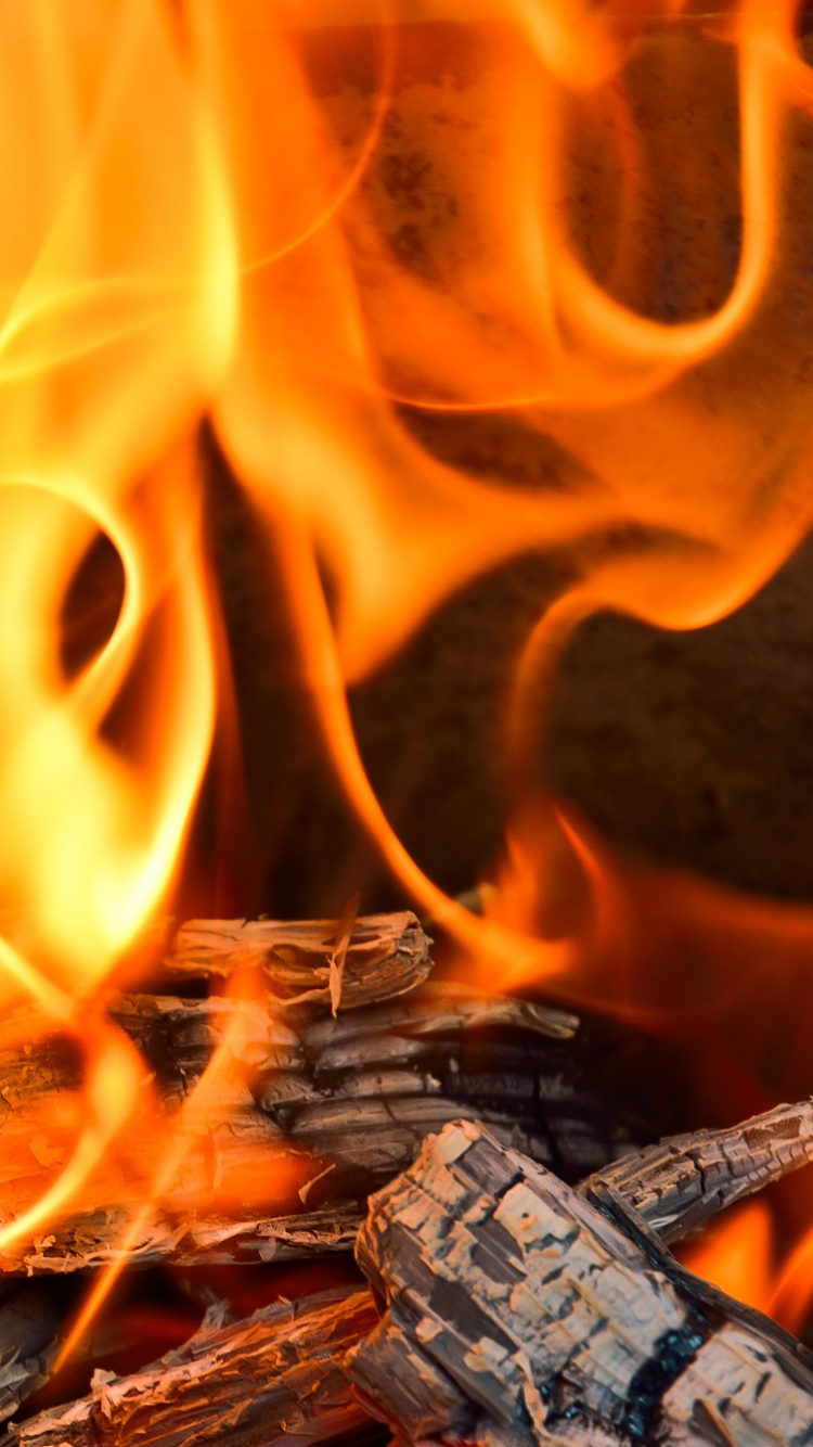 Обои огонь, пламя, тепло, Апельсин, костер в разрешении 750x1334