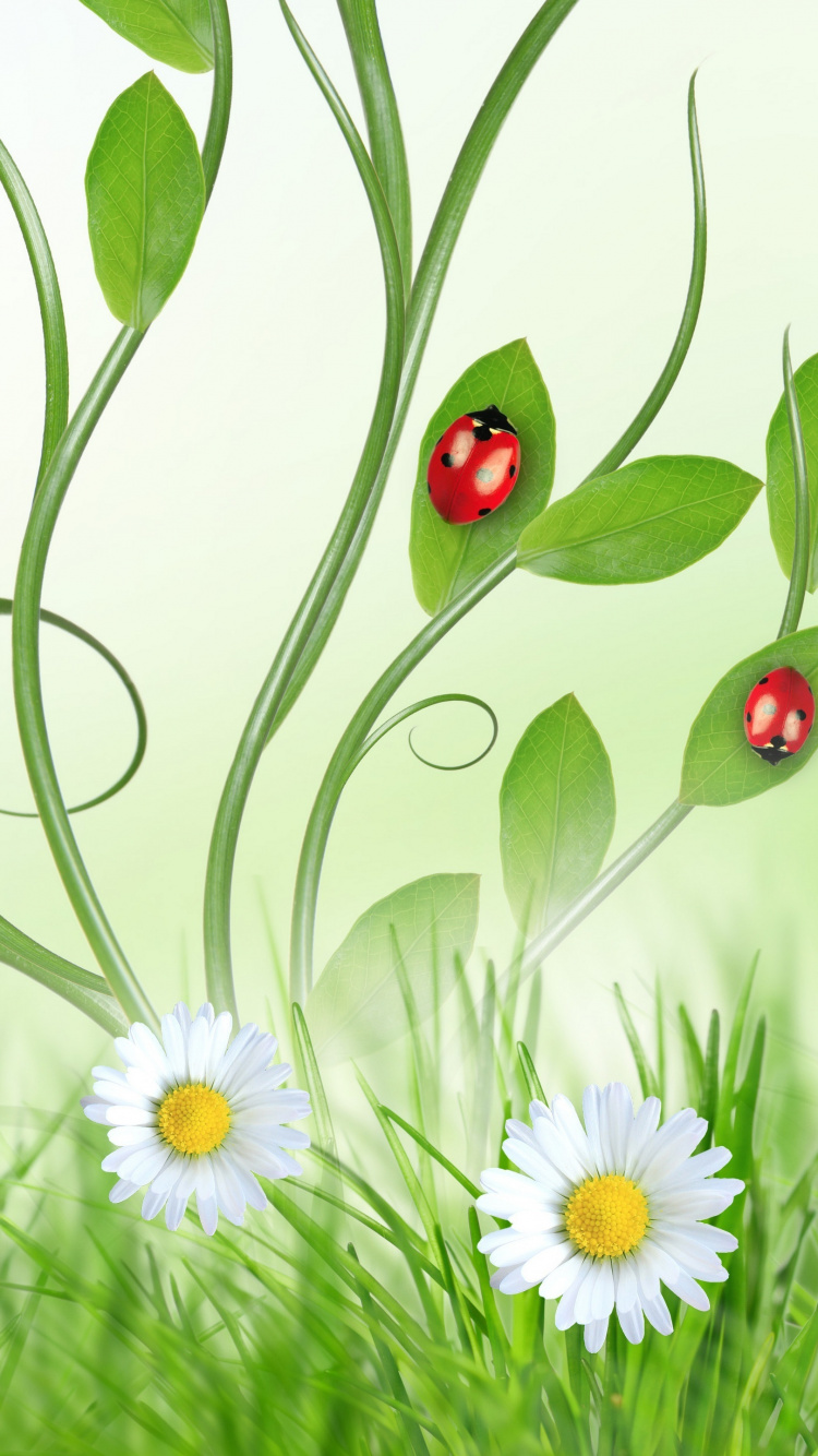 Обои телефон, huawei y6 2019, цветок, растение, ботаники в разрешении 750x1334