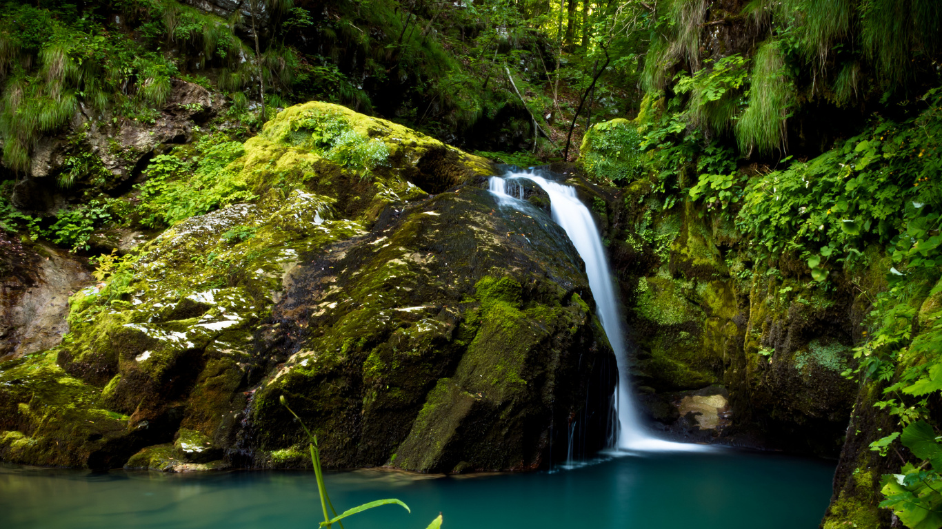 Обои Зеленый ВИР, природа, водопад, водоем, гидроресурсы в разрешении 1366x768