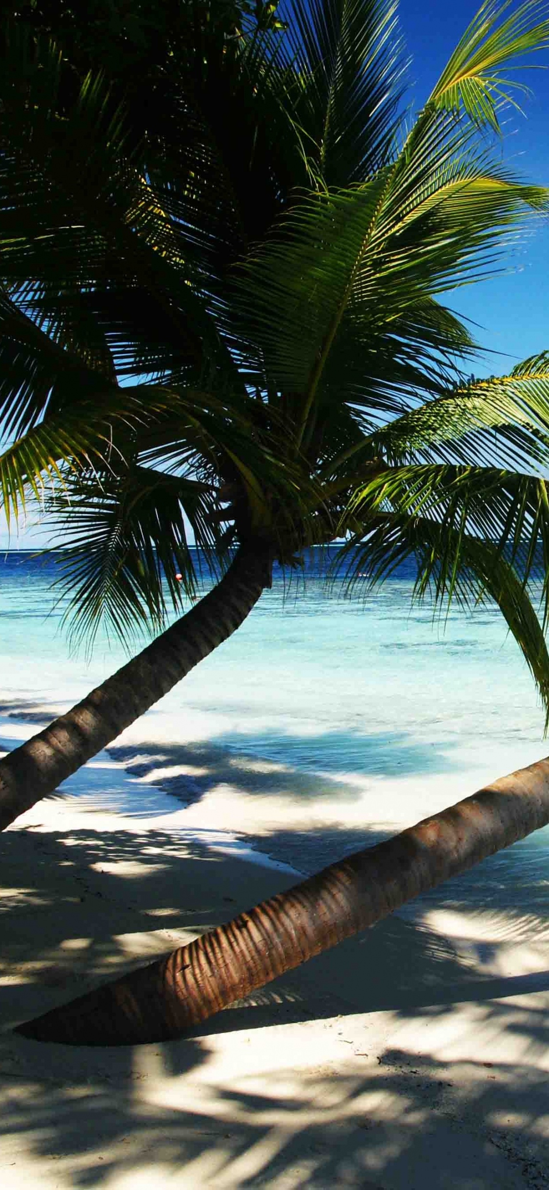 Обои отпуск, пляж, Остров, море, прибежище в разрешении 1125x2436