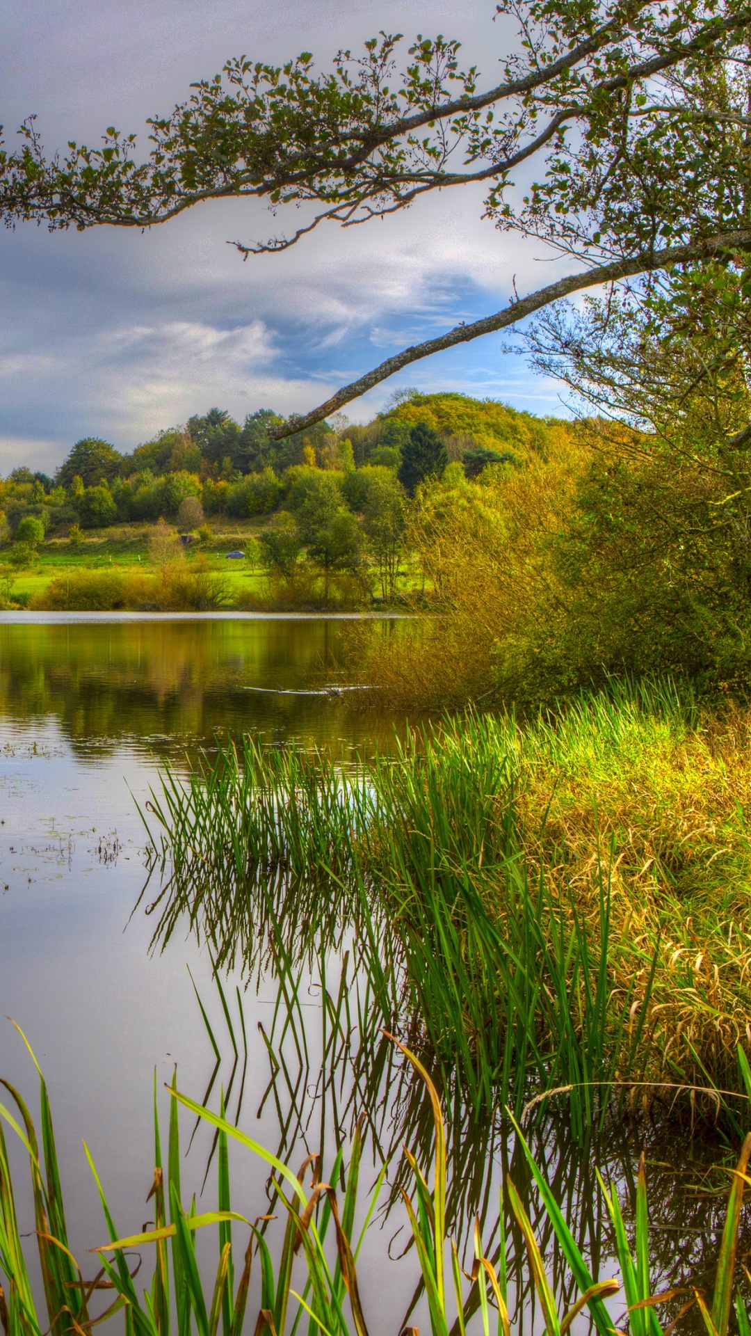 Обои пейзажная живопись, пейзаж, природа, водоем, отражение в разрешении 1080x1920