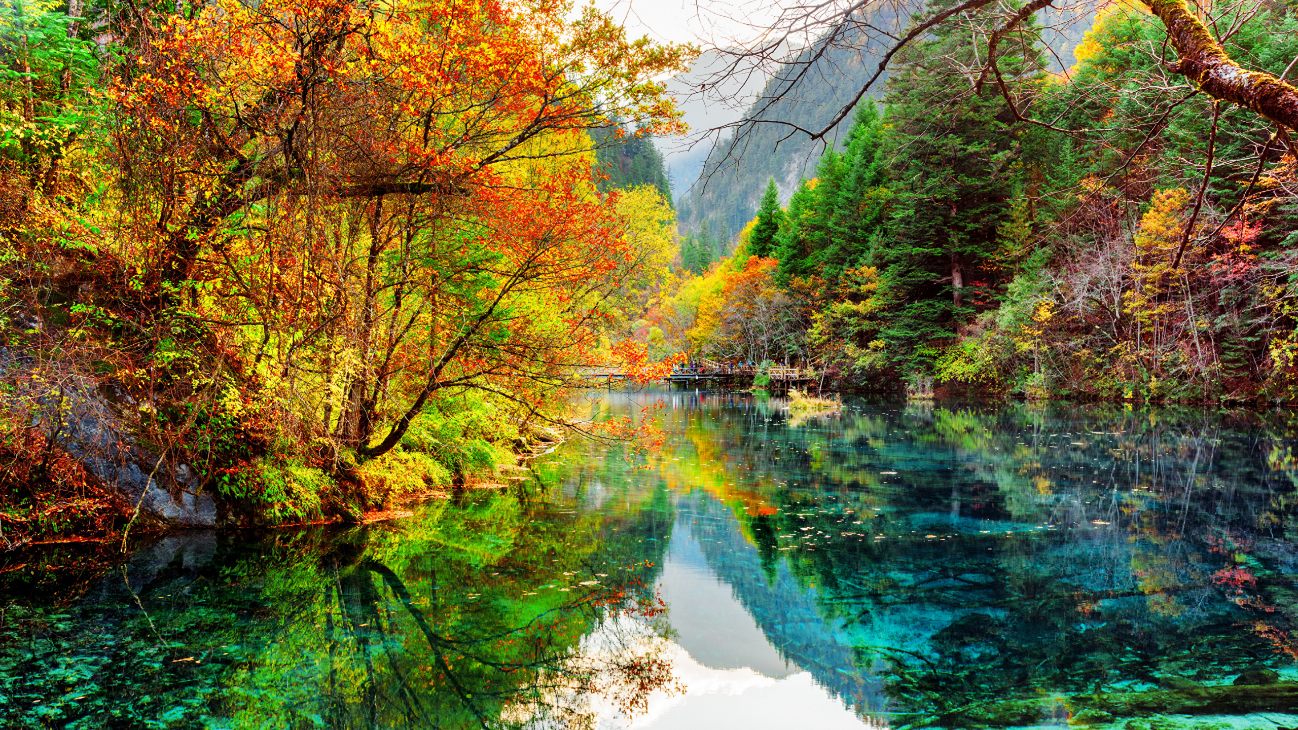 Обои парк, национальный парк, природа, отражение, вода в разрешении 2560x1440