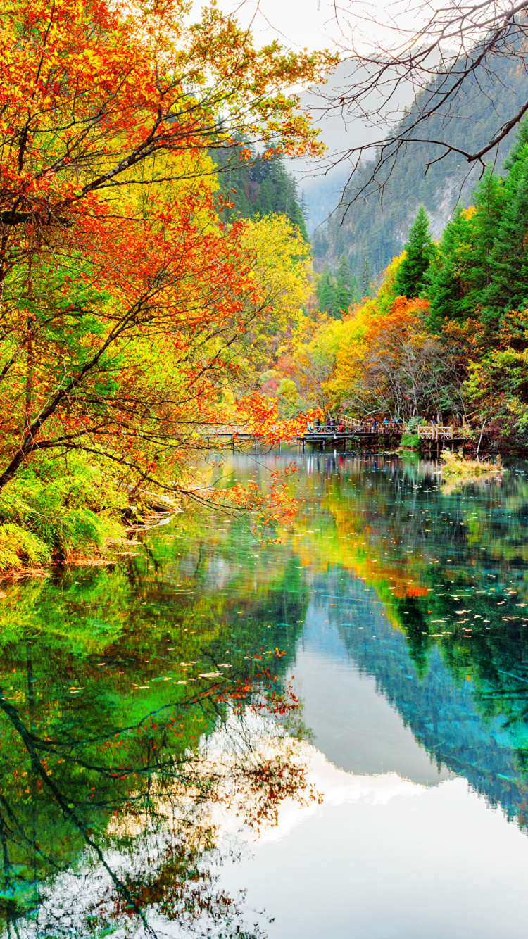 Обои парк, национальный парк, природа, отражение, вода в разрешении 750x1334