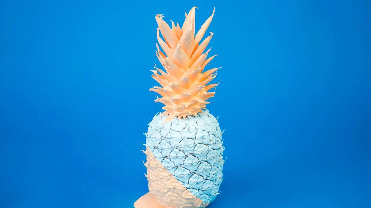 Обои легкий натюрморт, натюрморт, живопись, растение, натуральный материал в разрешении 1280x720