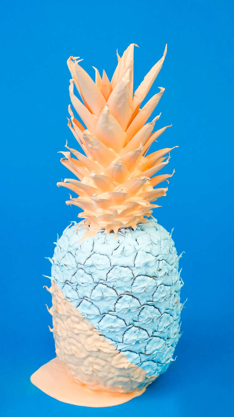 Обои легкий натюрморт, натюрморт, живопись, растение, натуральный материал в разрешении 750x1334