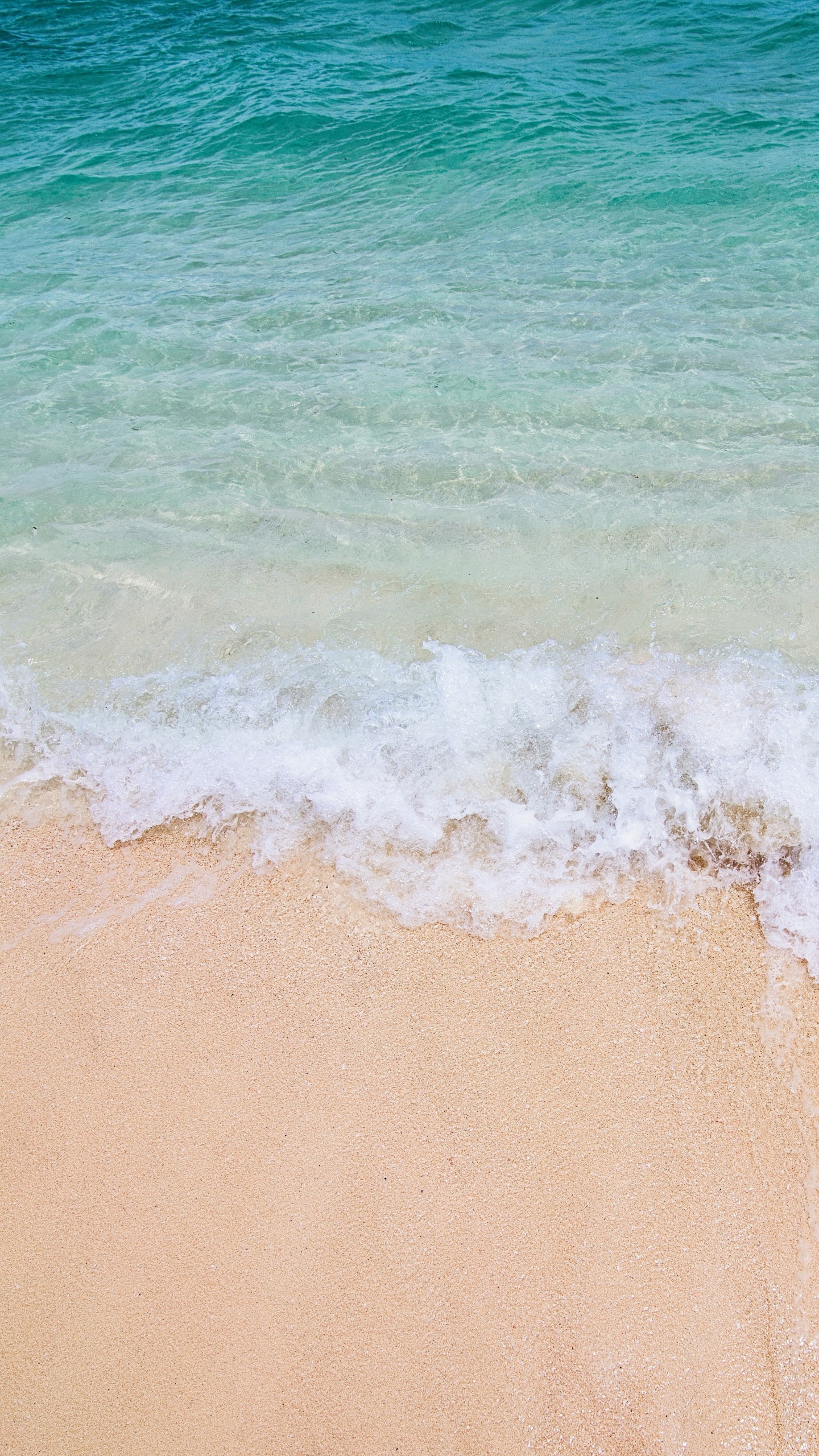 Обои побережье, вода, океан, ветровая волна, лазурный в разрешении 1440x2560