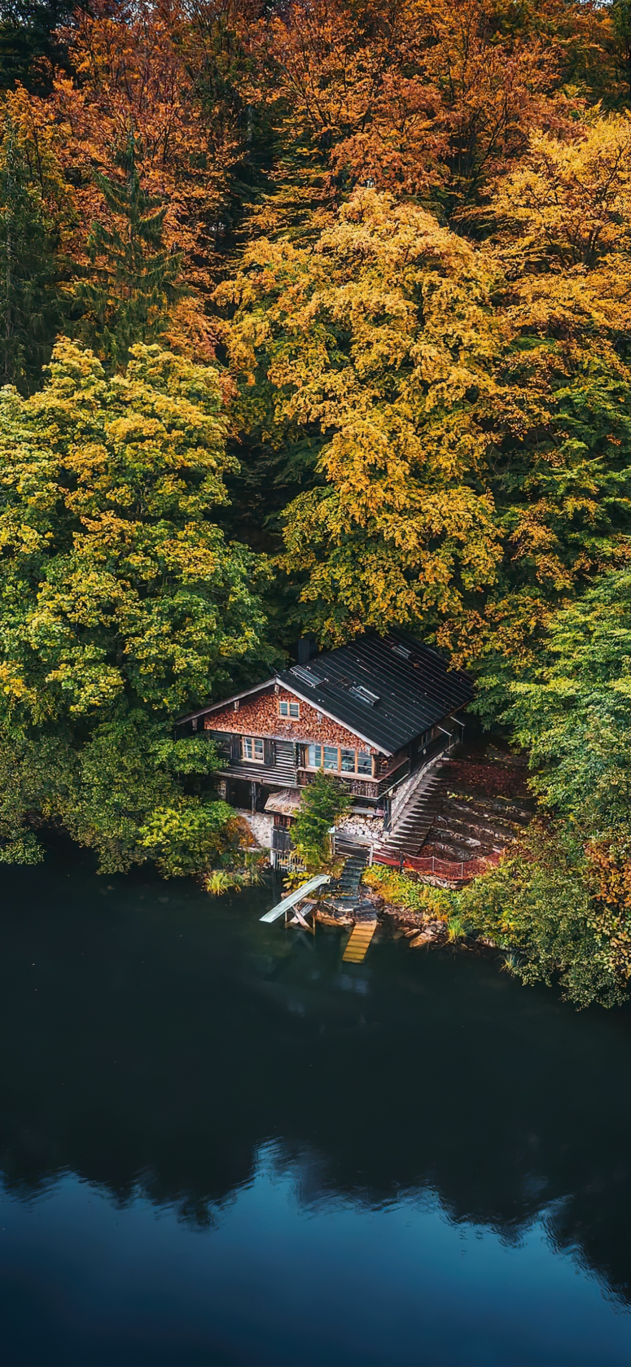 Обои отражение, вода, растение, здание, природный ландшафт в разрешении 1242x2688