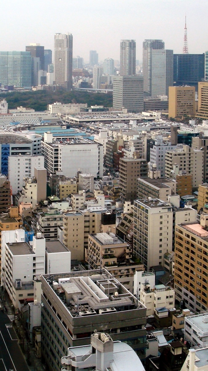 Обои Санкт-Лукес башня, токийская башня, Река Сумида, город, городской пейзаж в разрешении 720x1280
