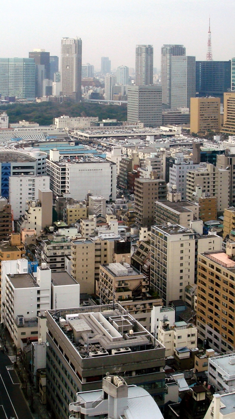 Обои Санкт-Лукес башня, токийская башня, Река Сумида, город, городской пейзаж в разрешении 750x1334