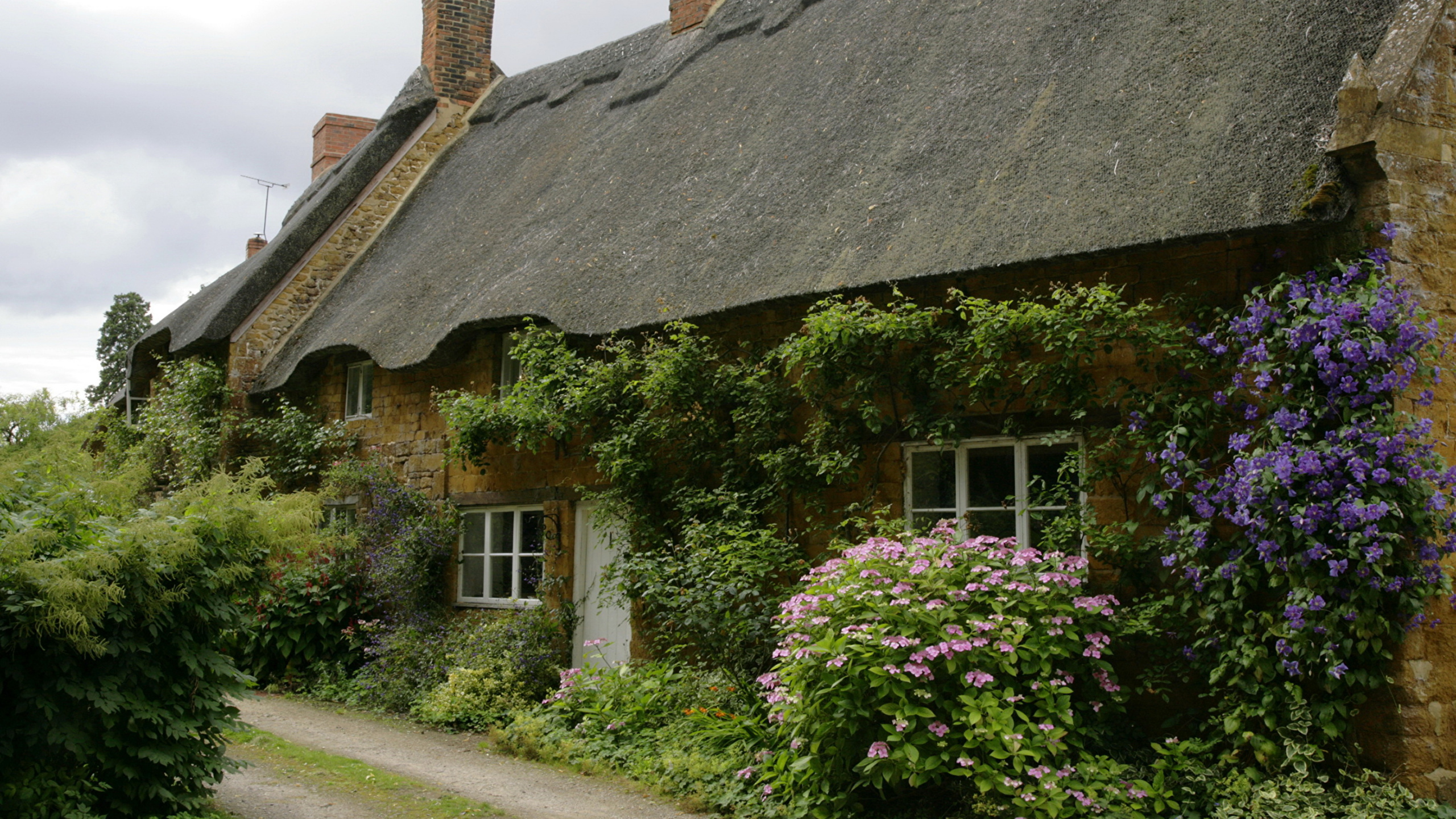 Обои коттедж, здание, Хаус, крыша, свойство в разрешении 2560x1440