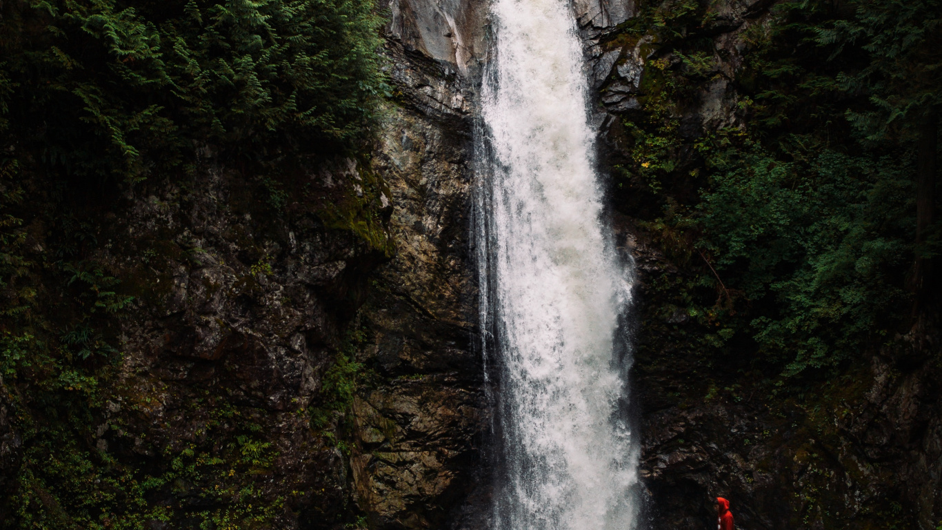 Обои водные элементы, тропические леса, государственный парк, водоток, гидроресурсы в разрешении 1366x768