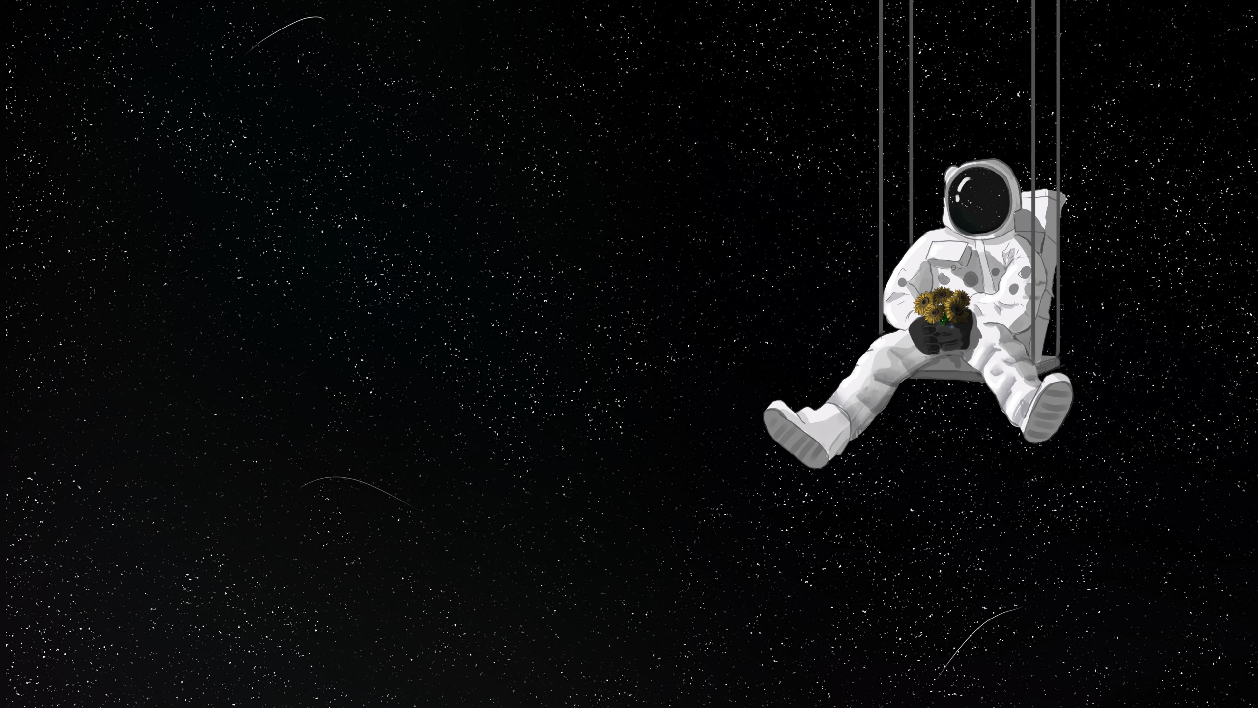 Обои Сальто акробатический, измеритель, космос, иллюстрация, Черный Белый - М в разрешении 2560x1440