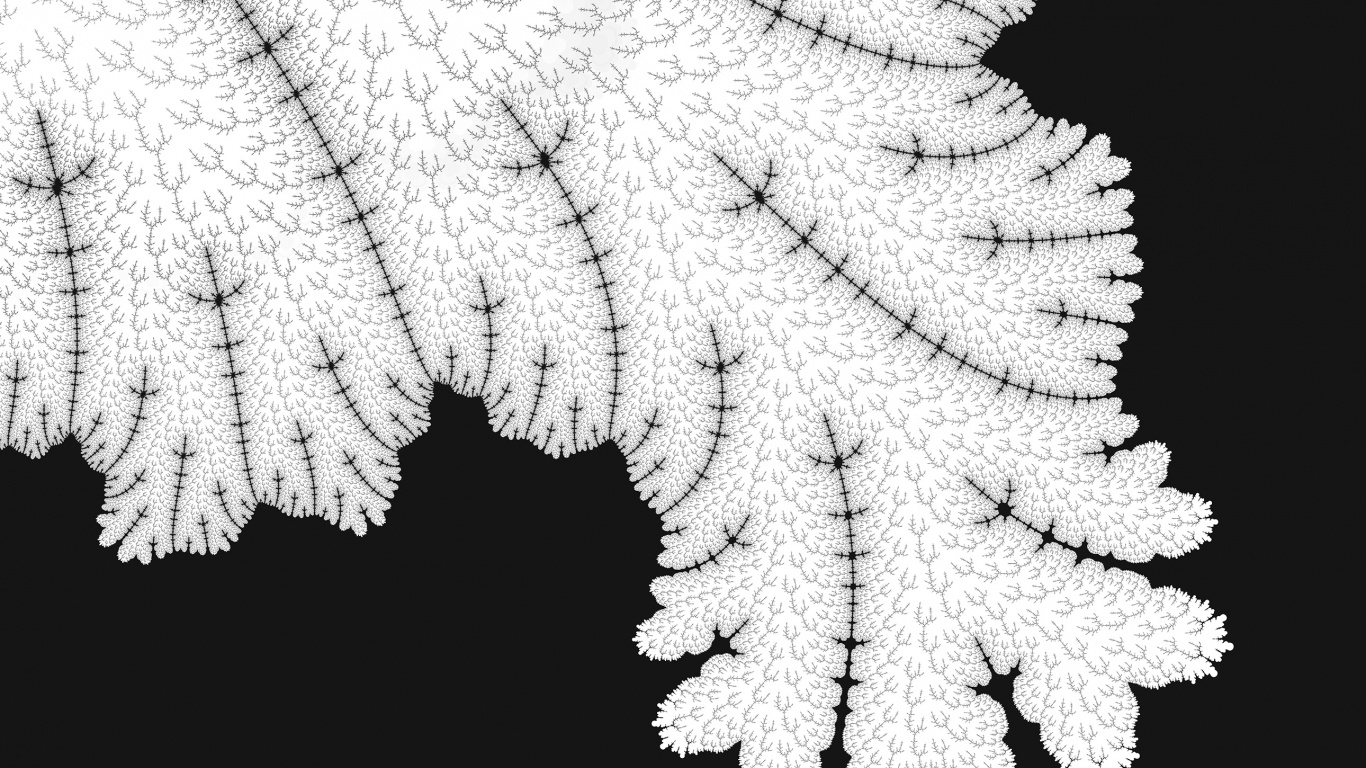 Обои лист, сосудистые растения, папоротник, растение, папоротники и хвощи в разрешении 1366x768