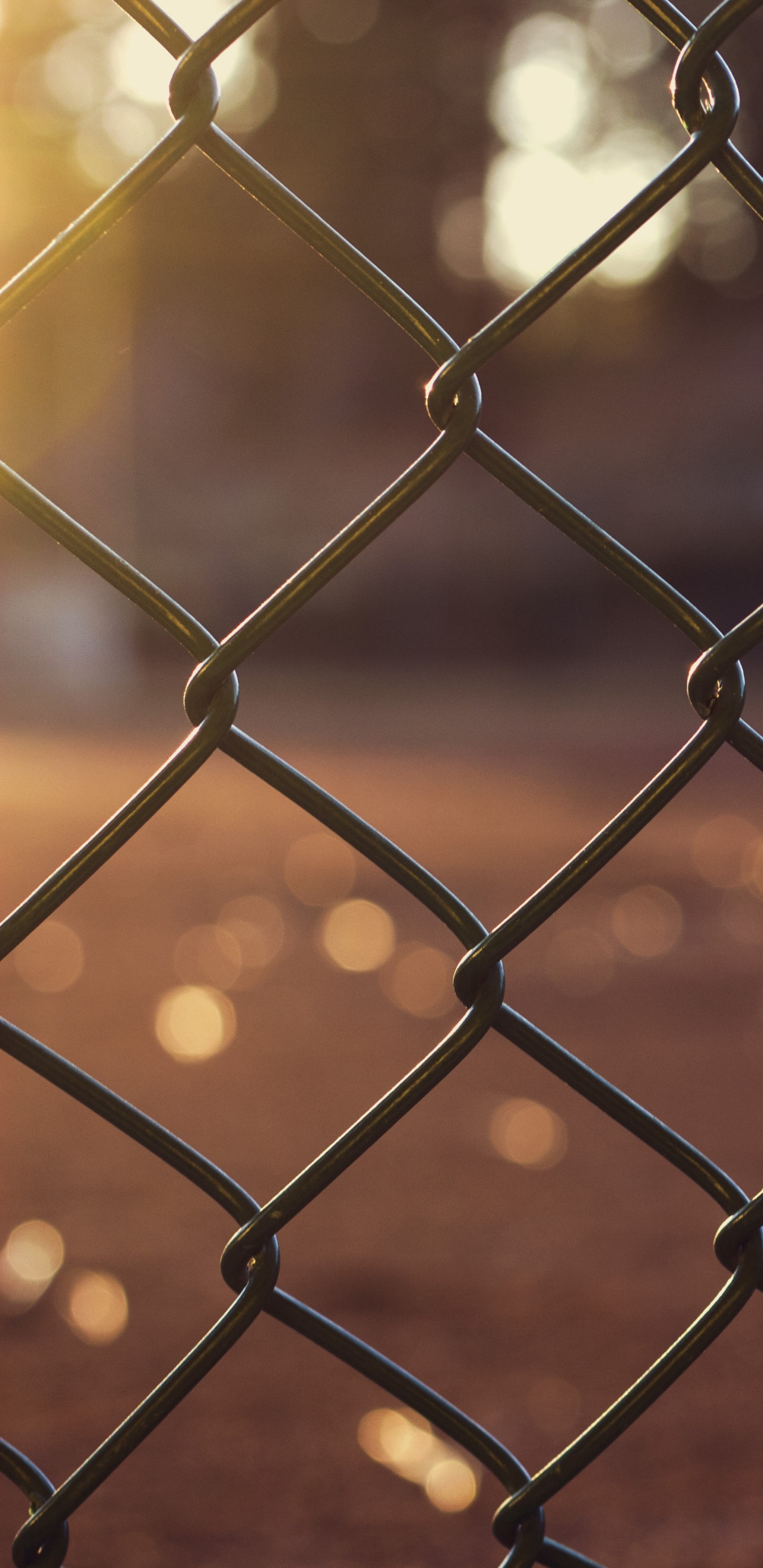 Обои ограждать провода, ячейка, железо, металл, забор в разрешении 1440x2960