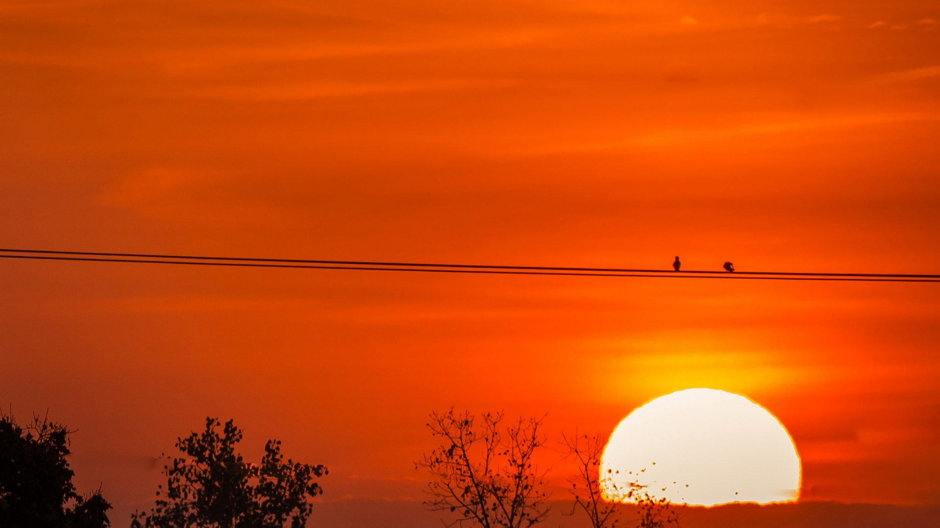 Обои закат, восход солнца, горизонт, утро, рассвет в разрешении 1920x1080
