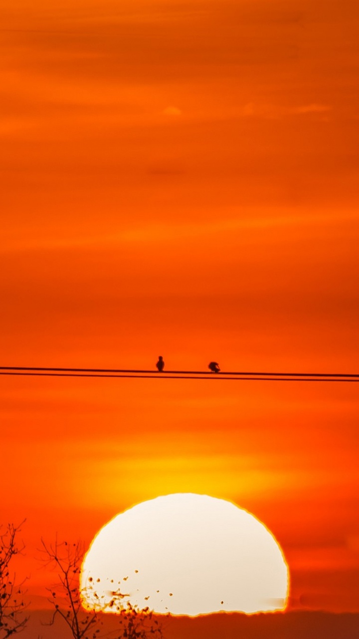 Обои закат, восход солнца, горизонт, утро, рассвет в разрешении 720x1280