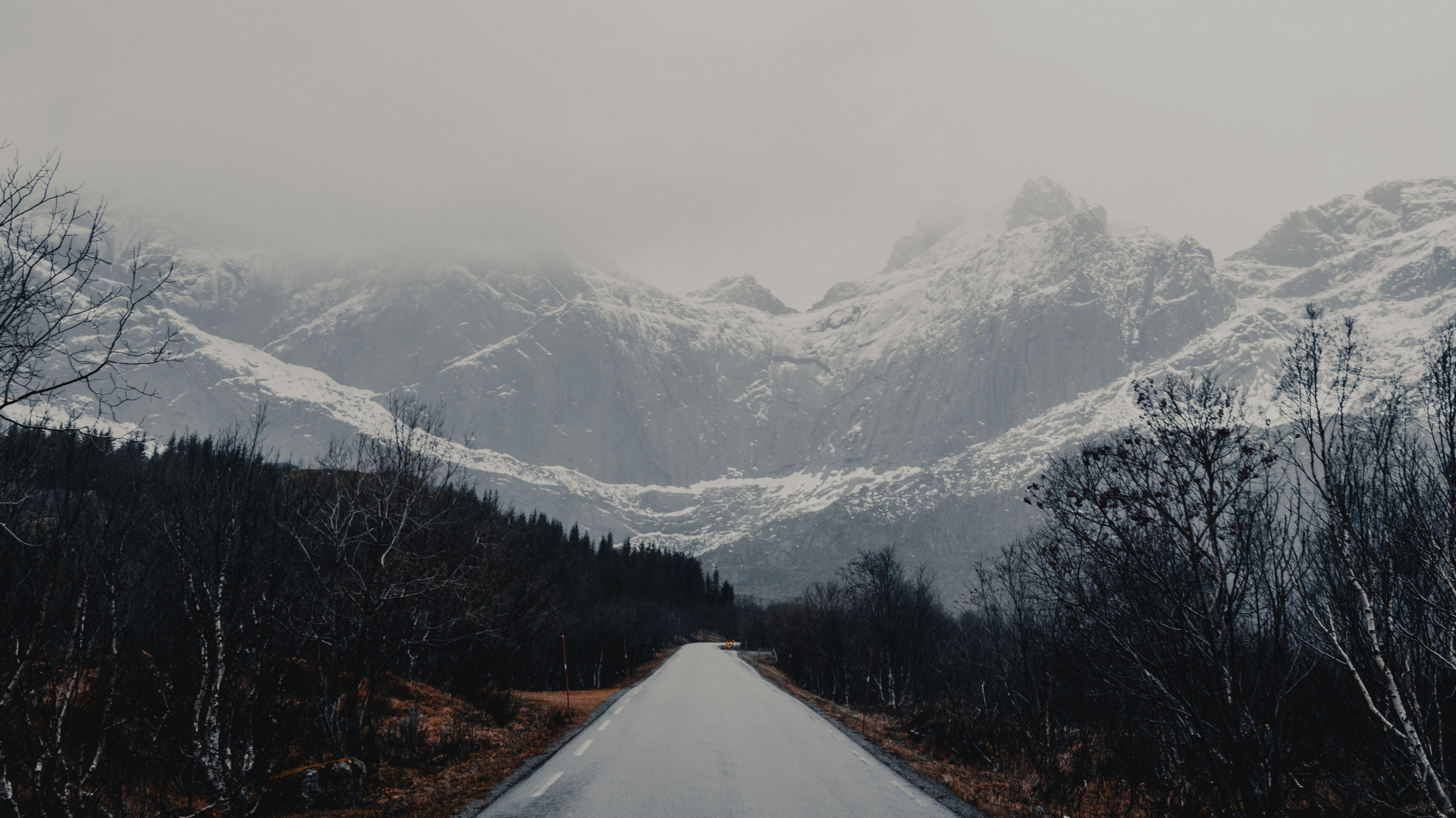 Обои хребет, ледяная форма, дерево, небо, дымка в разрешении 2560x1440