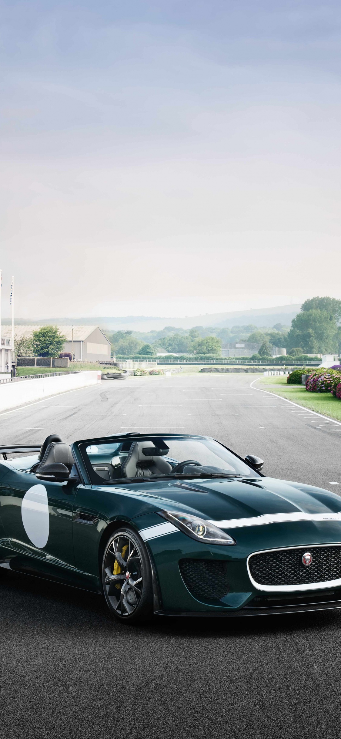 Обои автомобили jaguar, Ягуар, спорткар, авто, jaguar land rover в разрешении 1125x2436