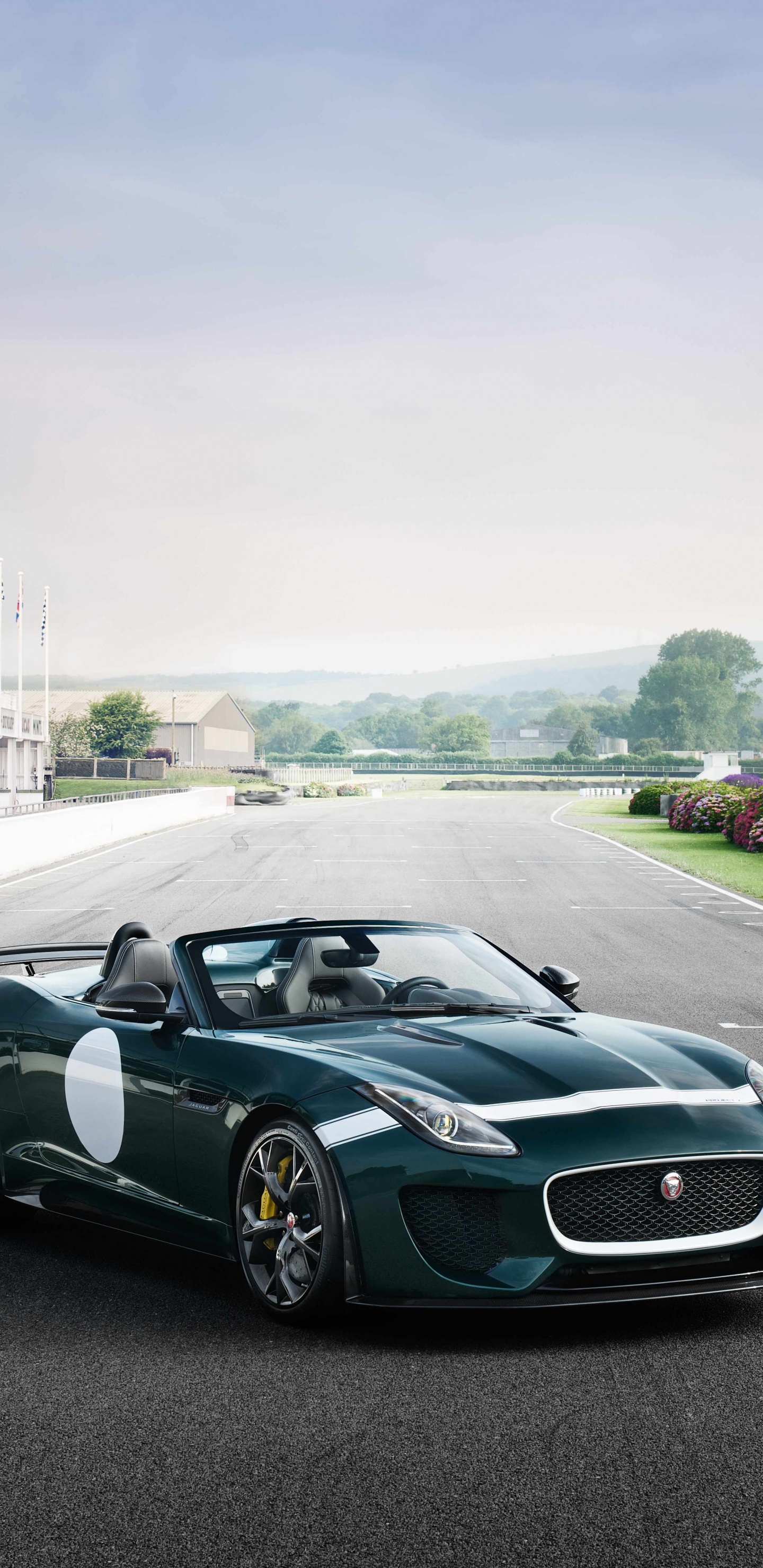 Обои автомобили jaguar, Ягуар, спорткар, авто, jaguar land rover в разрешении 1440x2960