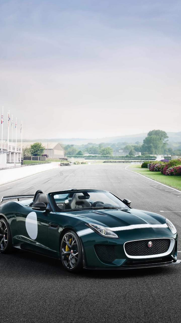 Обои автомобили jaguar, Ягуар, спорткар, авто, jaguar land rover в разрешении 720x1280