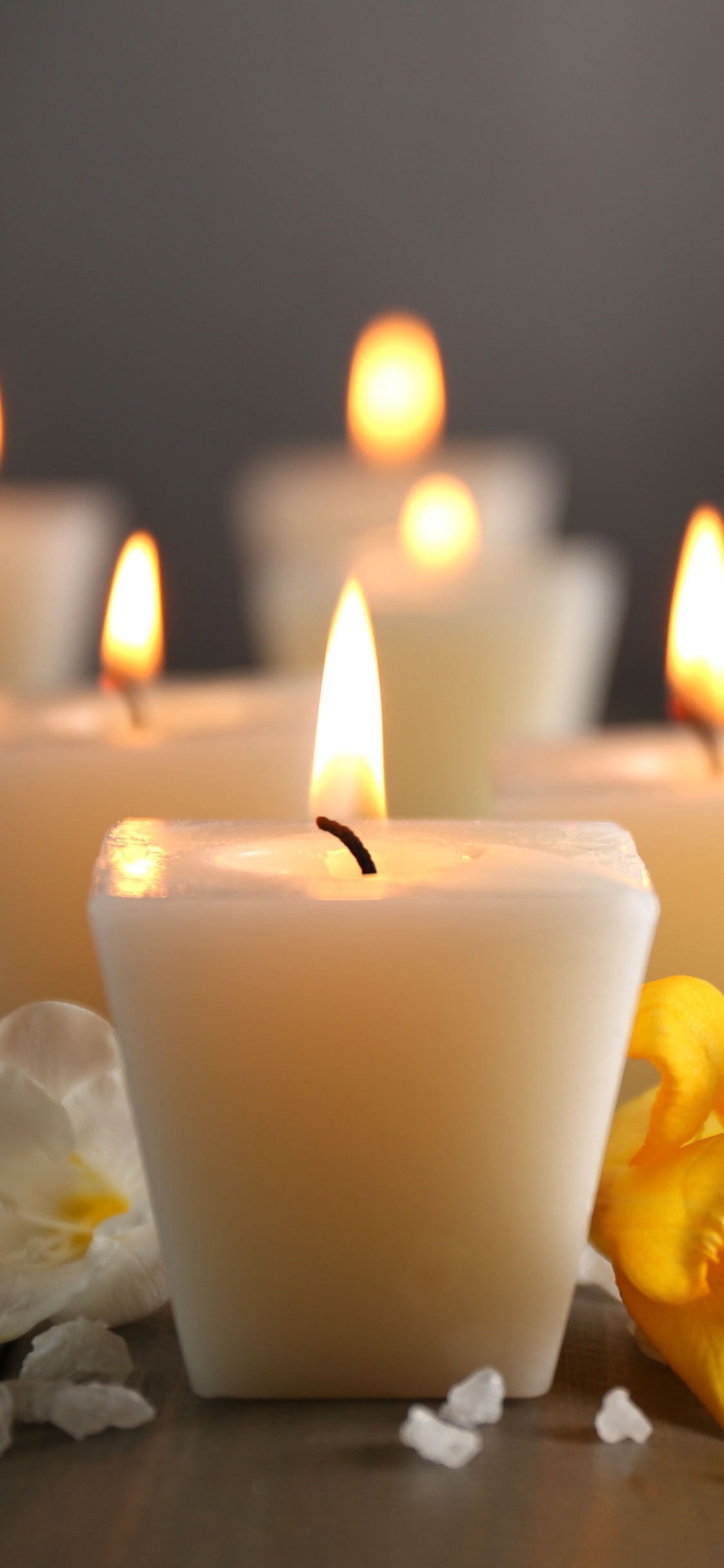 Обои лепесток, желтый, пламя, дизайн интерьера, воск в разрешении 1125x2436