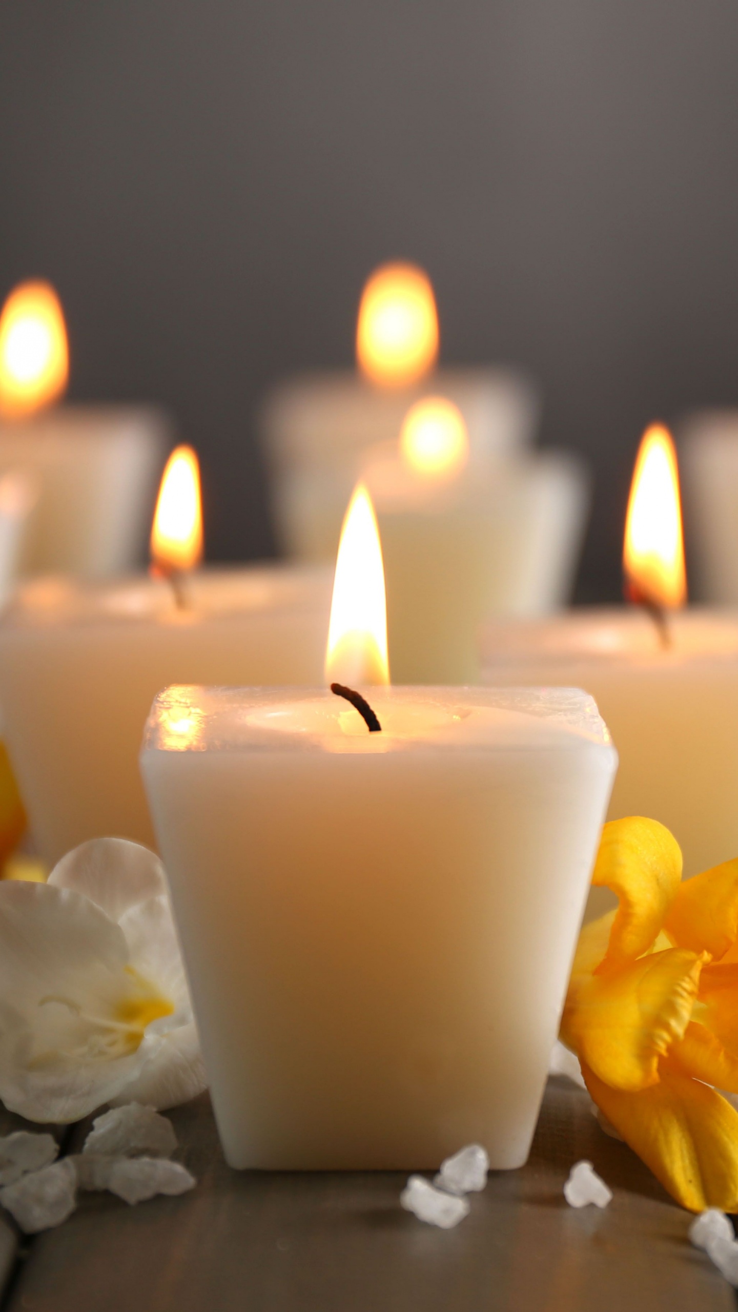 Обои лепесток, желтый, пламя, дизайн интерьера, воск в разрешении 1440x2560