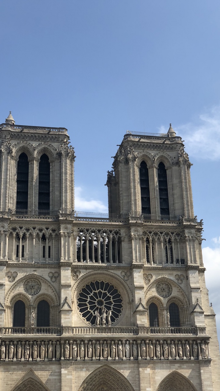 Обои НотрДам де Пари, Cathdrale Нотр-Дам-де-Пари, Эйфелева башня, собор, Сент-Шапель в разрешении 720x1280