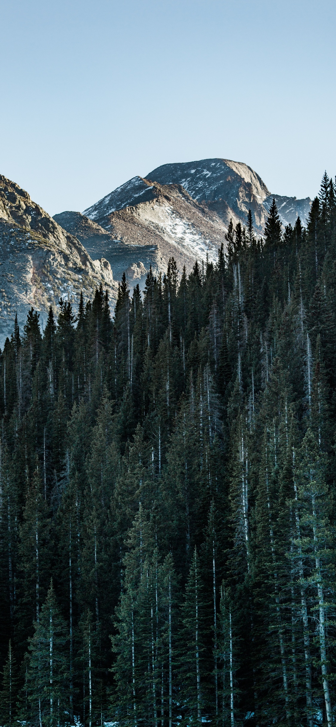 Обои гора, дерево, природный ландшафт, биом, отражение в разрешении 1125x2436